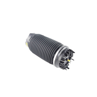 Mopar® - Rear Air Suspension Spring