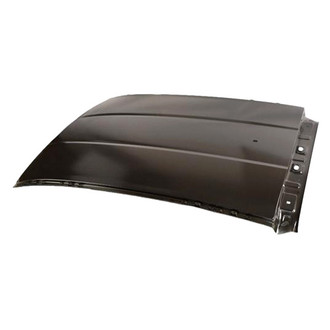 Mopar® - Roof Panel