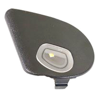 Ram OE - Front Right Courtesy Light