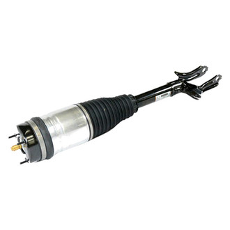 Mopar® - Front Driver or Passenger Side Air Suspension Strut