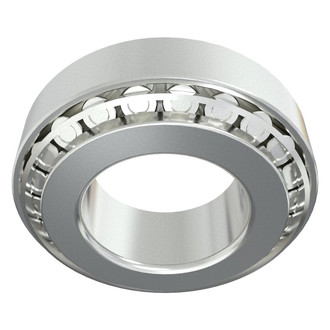 Ram OE - Rear Differential Carrier Bearing