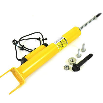 Mopar® - Rear Driver or Passenger Side Shock Absorber Kit
