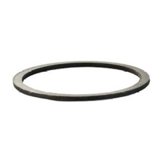 Mopar® - Differential Carrier Bearing Shim