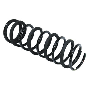 Mopar® - Rear Coil Spring