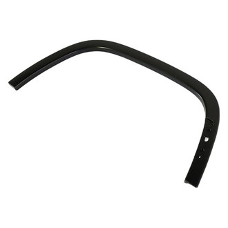 Mopar® - Molding