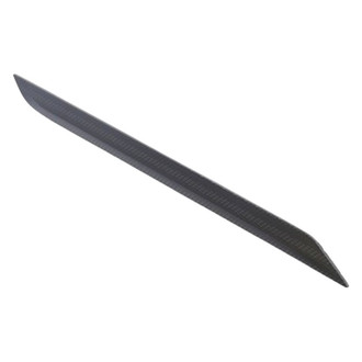 Ram OE - Rear Right Door Trim Molding