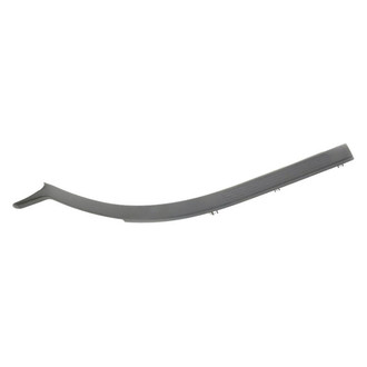 Ram OE - Rear Left Door Sill Plate