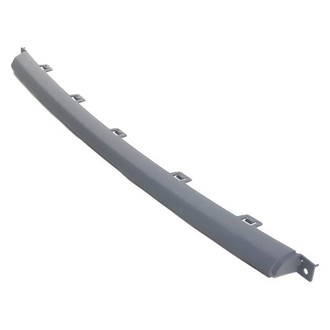 Mopar® - Center Bumper Trim