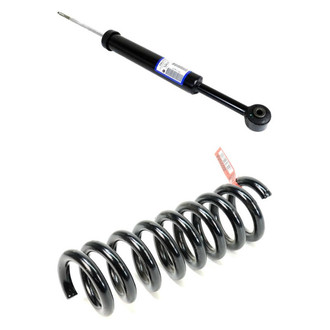 Mopar® - Front Driver or Passenger Side Shock Absorber and Coil Springs Kit