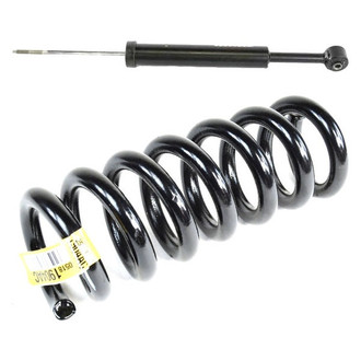 Mopar® - Front Driver or Passenger Side Shock Absorber and Coil Springs Kit