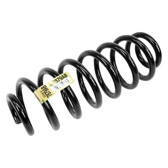 Mopar® - Rear Coil Spring