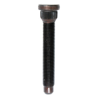 Moroso® - Black Press-In Quick Start Dog End Lug Studs