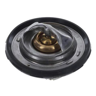 MotoRad® - Engine Coolant Thermostat
