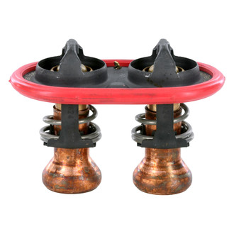 MotoRad® - Engine Coolant Thermostat