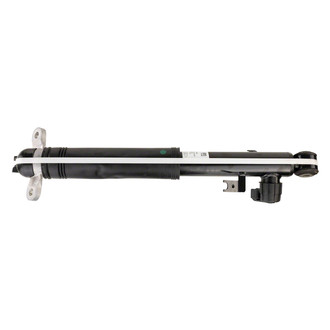 Motorcraft® - Strut