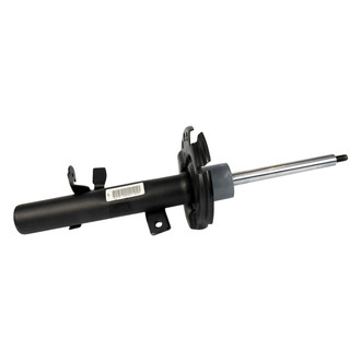 Motorcraft® - Front Strut