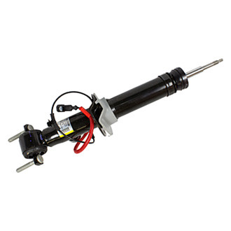 Motorcraft® - Shock Absorber