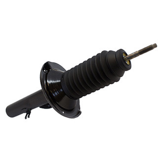 Motorcraft® - Strut