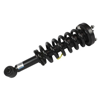 Motorcraft® - Front Strut Assembly