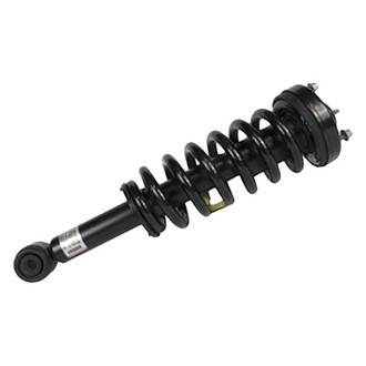 Motorcraft® - Front Driver or Passenger Side Strut Assembly