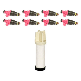 Motorcraft® - Fuel Injector with Fuel Filter Kit