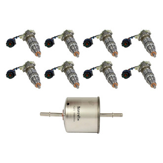 Motorcraft® - Fuel Injector with Fuel Filter Kit