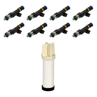 Motorcraft® - Fuel Injector with Fuel Filter Kit