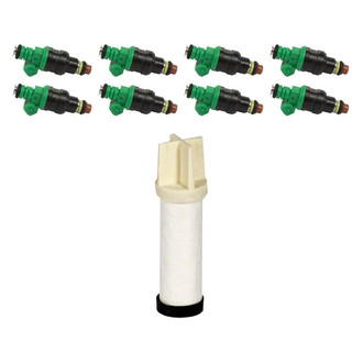 Motorcraft® - Fuel Injector with Fuel Filter Kit