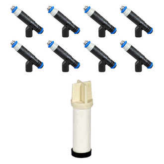 Motorcraft® - Fuel Injector with Fuel Filter Kit