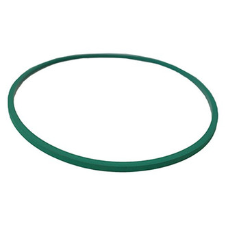 Motorcraft® - Fuel Pump Tank Seal