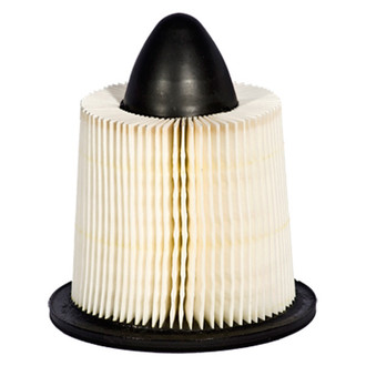 Motorcraft® - Air Filter