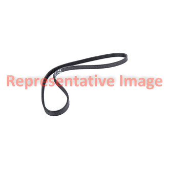 Motorcraft® - Accessory Drive Belt