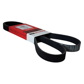 OE COG Belt