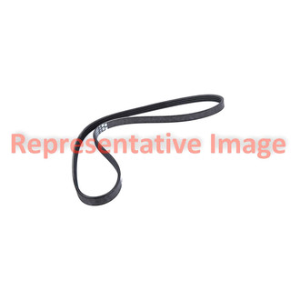 Motorcraft® - V-Belt