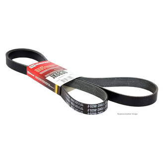 Motorcraft® - V-Belt