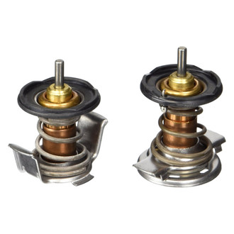 Motorcraft® - Engine Coolant Thermostat Kit