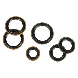 Motorcraft® - A/C System O-Ring and Gasket Kit