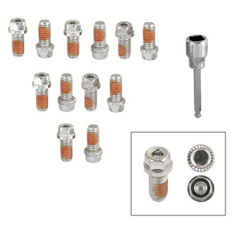 Mr. Gasket® - 410 stainless steel Polished Header Bolt Set