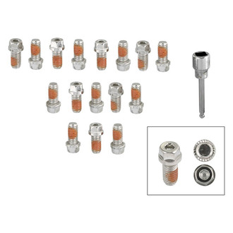Mr. Gasket® - 410 stainless steel Polished Header Bolt Set