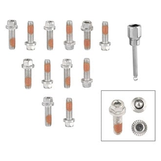 Mr. Gasket® - Stainless Steel Polished Header Bolt Set
