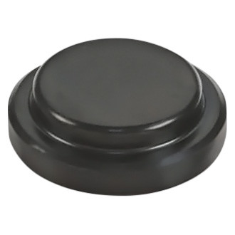 Nippon Reinz® - Rear Camshaft Plug