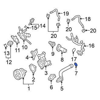 Nissan OE - Engine Coolant Inlet Flange O-Ring