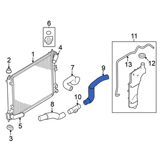 Nissan OE - Lower Radiator Coolant Hose