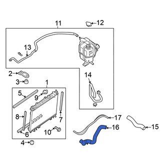 Nissan OE - Lower Radiator Coolant Hose