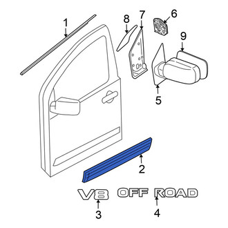 Nissan OE - Front Left Door Molding