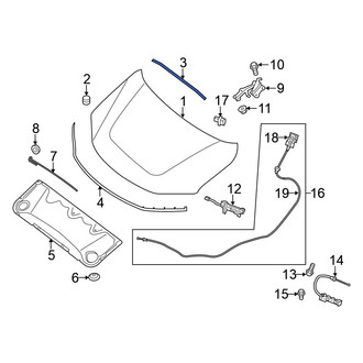 Nissan OE - Front Hood Seal