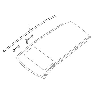 Nissan OE - Roof - Exterior Trim (With Sunroof)