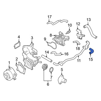 Nissan OE - Lower Radiator Coolant Hose