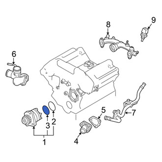 Nissan OE - Outer Engine Water Pump O-Ring