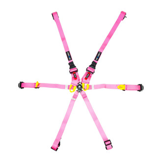 NRG Innovations® - 6-Point FIA Seat Belt Harness